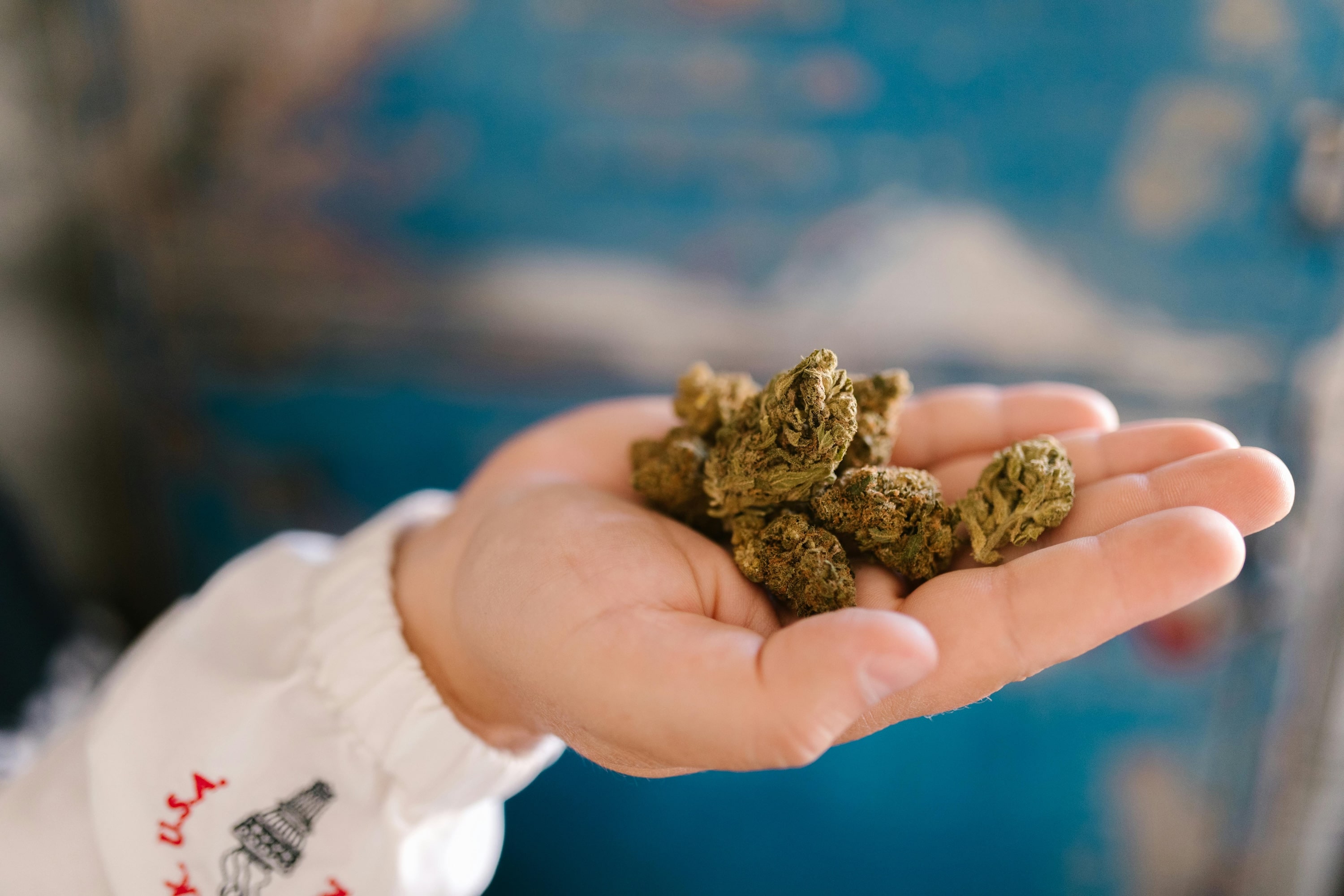 Marijuana in hand